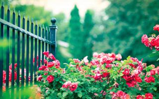 NBA太惨！柯瑞只拿2分勇士开箱施洛德却以51分差惨败给灰熊