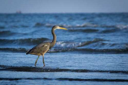 马赛队录像 法甲第17轮 对战vs南特队回放 2026年01月04日 22:00比赛视频完整直播回看