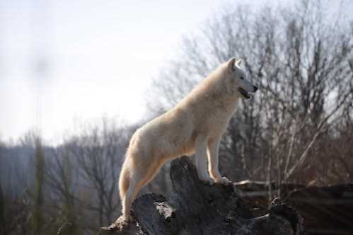 西汉姆联队录像 英超第19轮 对战vs布莱顿队回放 2025年12月31日 03:30比赛视频完整直播回看