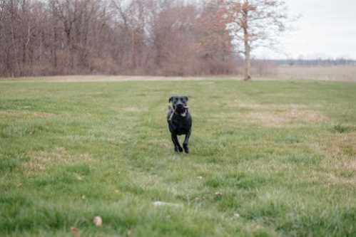 NBA字母哥砍41分领军公鹿击退公牛收近5场比赛第4胜