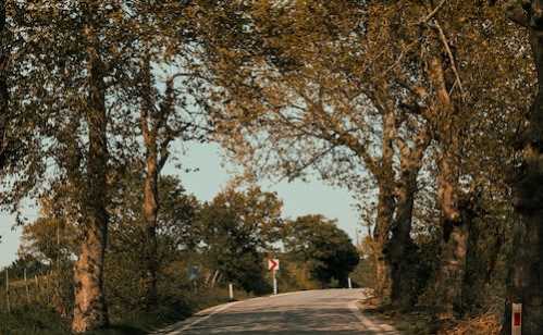 网球鲁德3盘力退卢布列夫年终赛4强对决球王辛纳