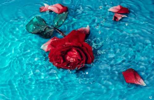 洛杉矶有意队！湖人欲交易得到芬尼-史密斯