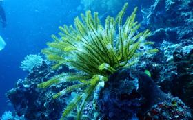 凯尔特人队录像 NBA常规赛 对战vs雄鹿队回放 2026年03月03日 比赛视频完整直播回看