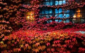 萨拉戈萨vs波尔图 胜平负前瞻看板：全场比分：86-70 半场比分：70-38 足球篮球今日推荐预测