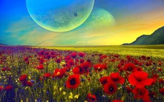 拳击不再寻求奥运卫冕？陷性别争议克莉芙宣布将转战职业